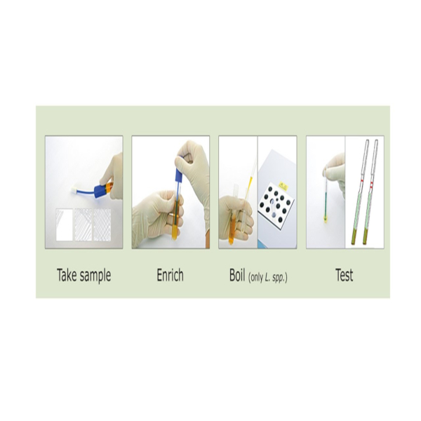 RapidCheck listeria ll 600x600