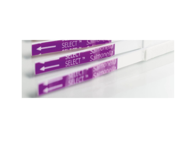RapidCheck salmonela 640x480
